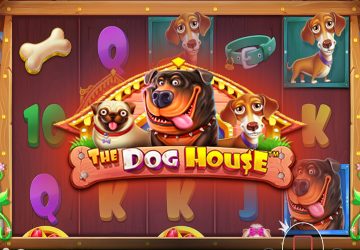 Microgaming - игровой автомат онлайн от Various с RTP 97.14%